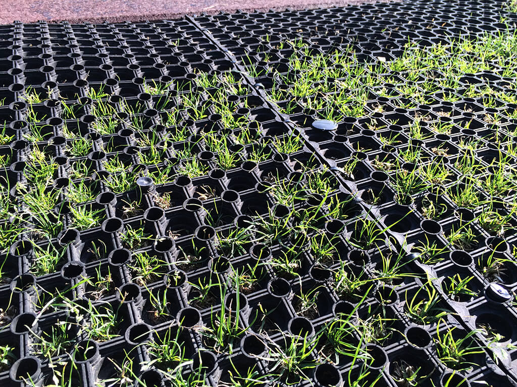 EcoSmart Rubber grass mats with grass growing through the gaps