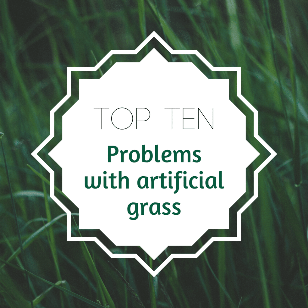 Top Ten Problems with Artificial Grass