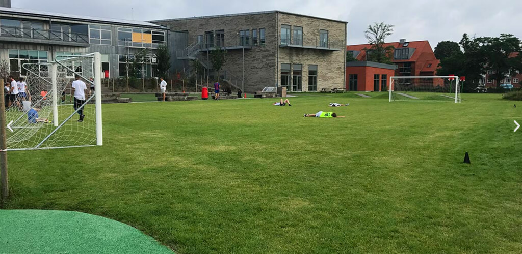 Hybrid grass football pitch