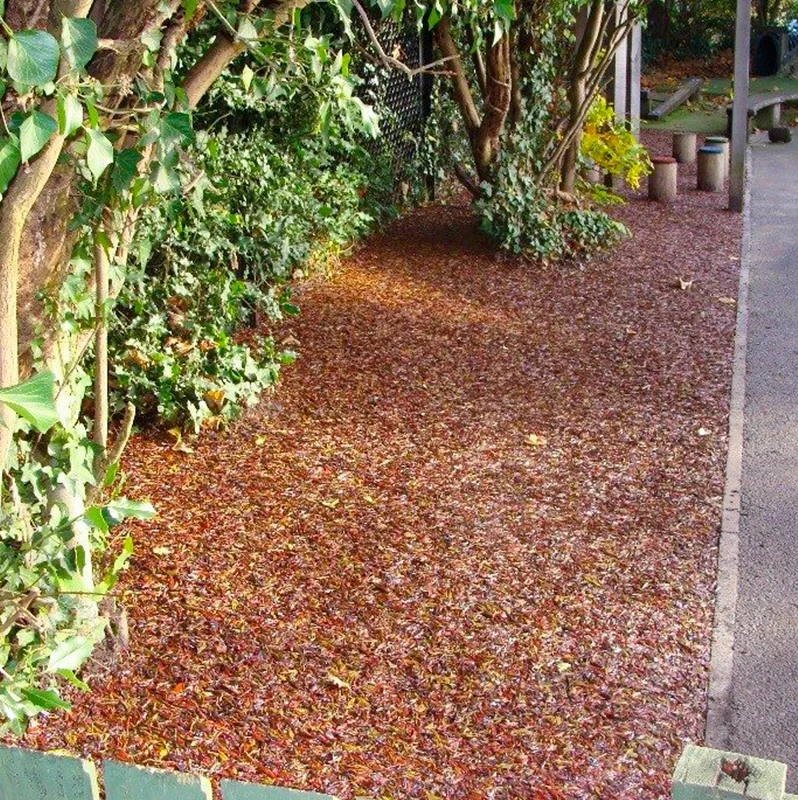 Red Jungle Mulch rubber mulch flooring installed around tree trunks next to a pathway