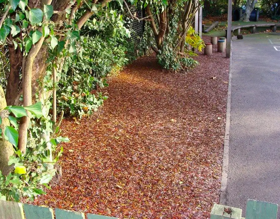 Red Jungle Mulch rubber mulch flooring installed around tree trunks next to a pathway