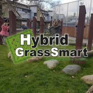 Hybrid Grass – UK’s New Favourite Lawn Solution