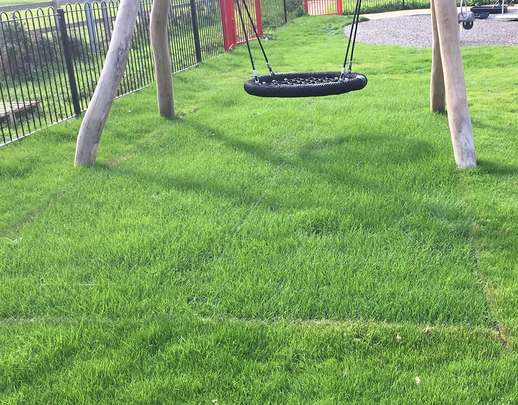 Grass mat under wooden playground equipment with grass grown through