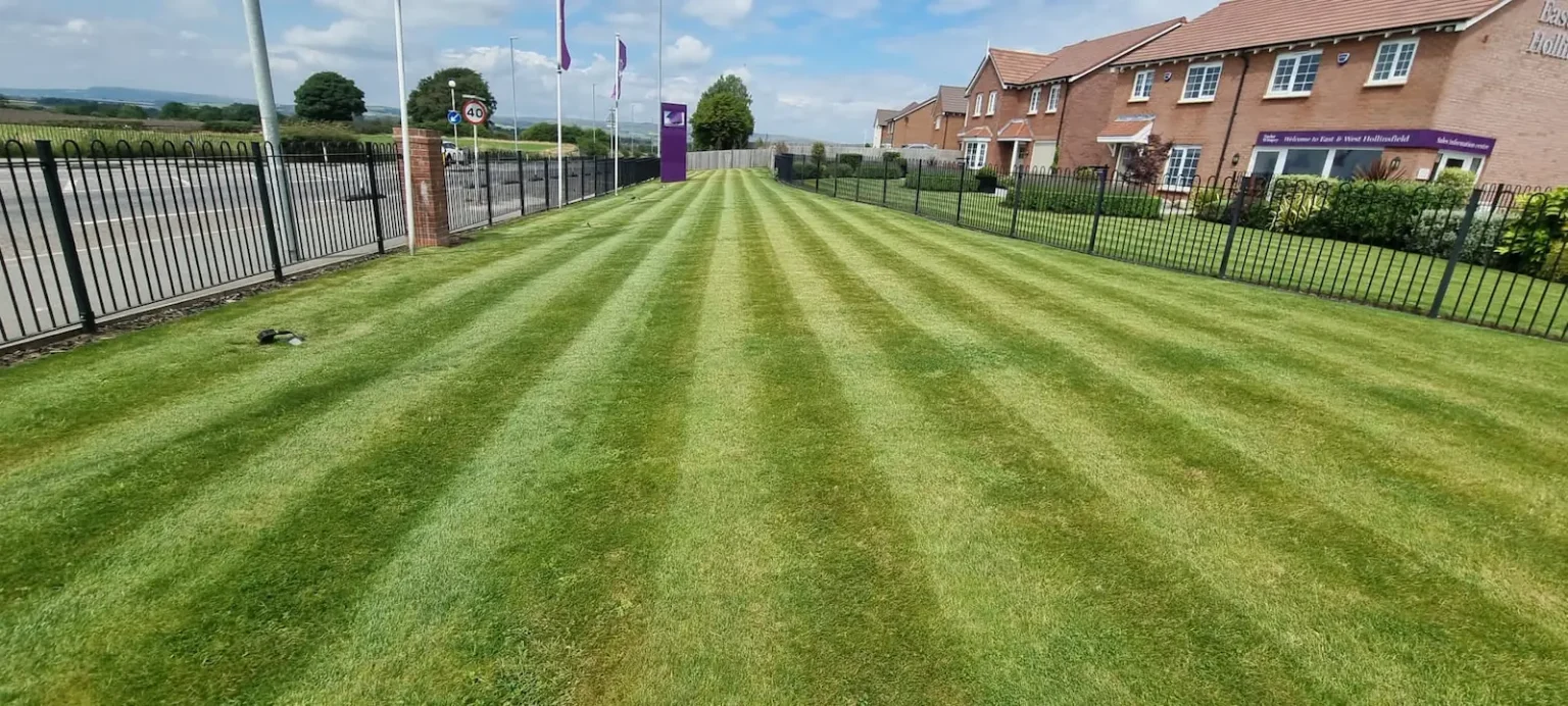 Hybrid Grass lawn in a housing development with striped green design
