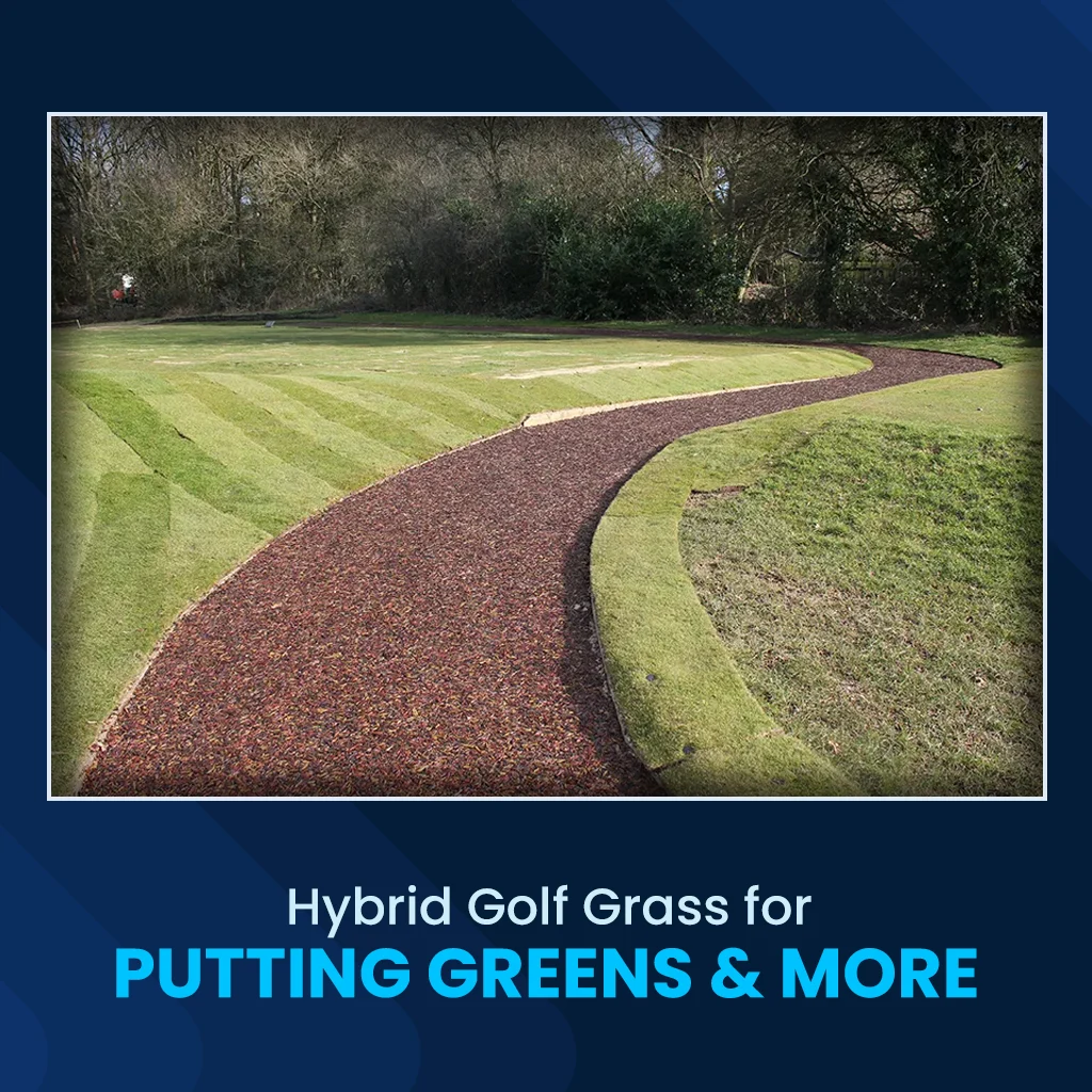 Hybrid Golf Grass for Putting Greens & More