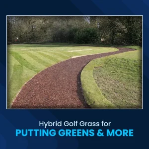 Hybrid Golf Grass for Putting Greens & More