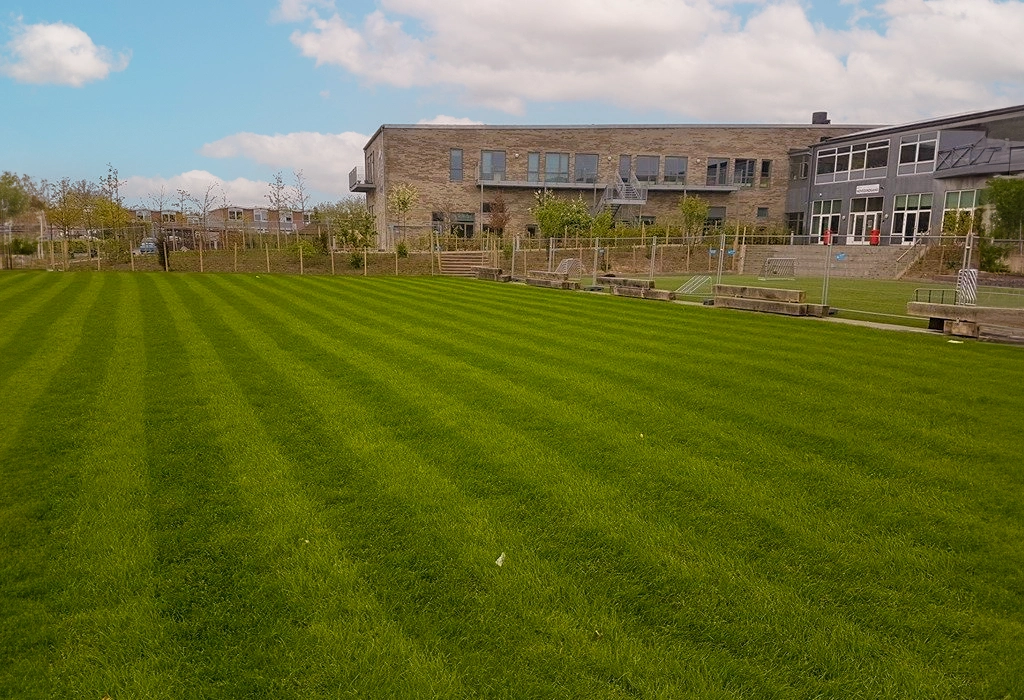 Hybrid Grass football field with striped green design