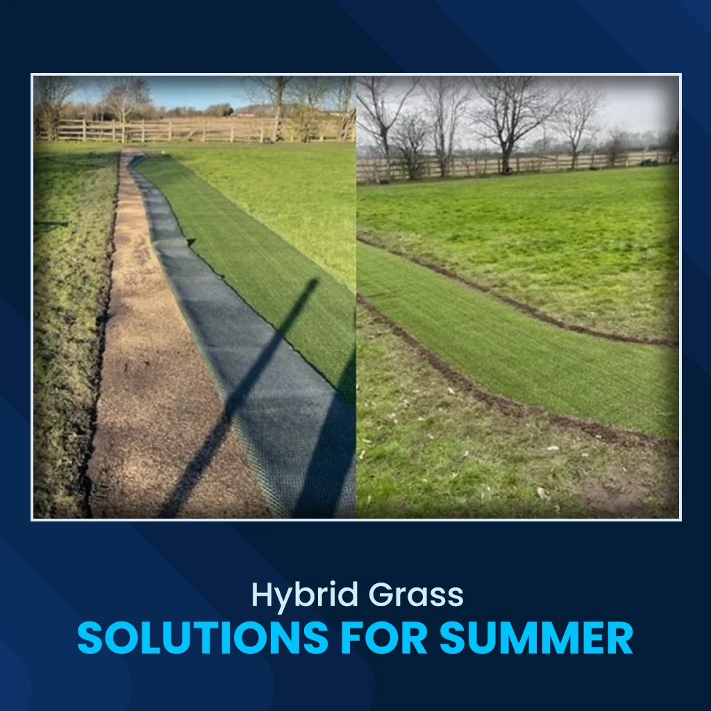 Hybrid Grass Solutions for Summer