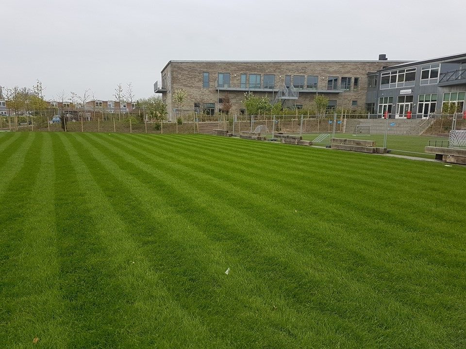 Hybrid Grass football field with striped green design