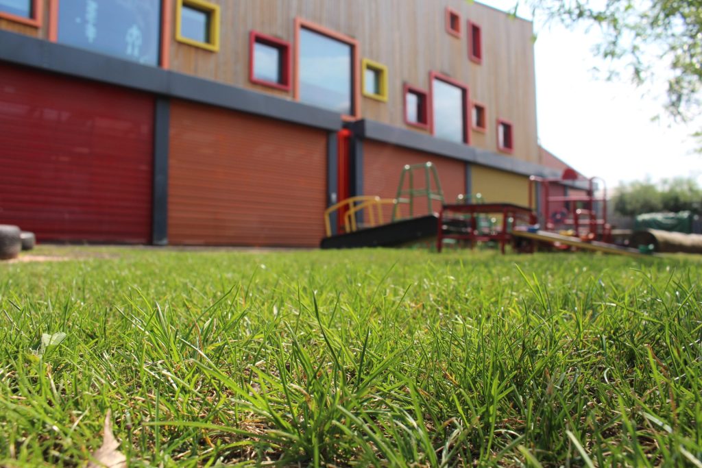 Hyrbid grass lawn in school