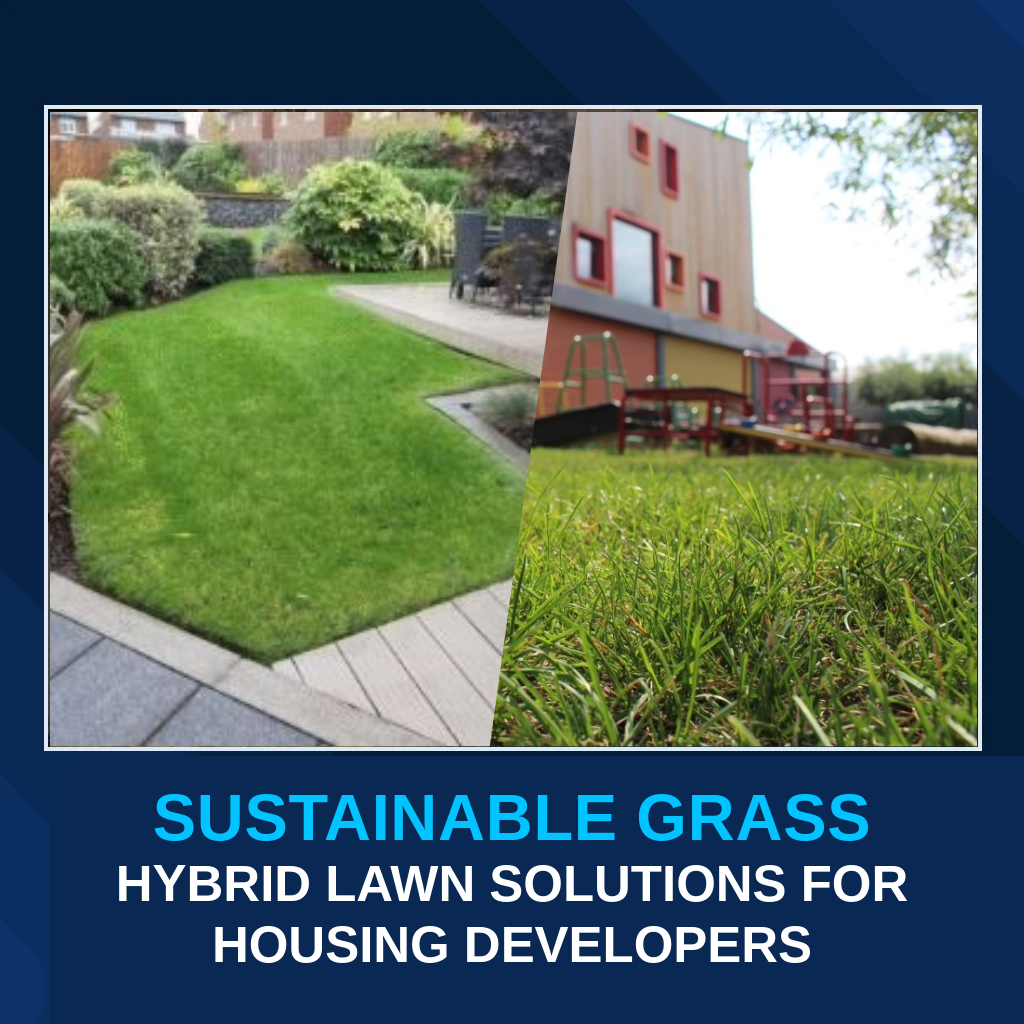 Sustainable Grass- Hybrid Lawn Solution for Housing Developers