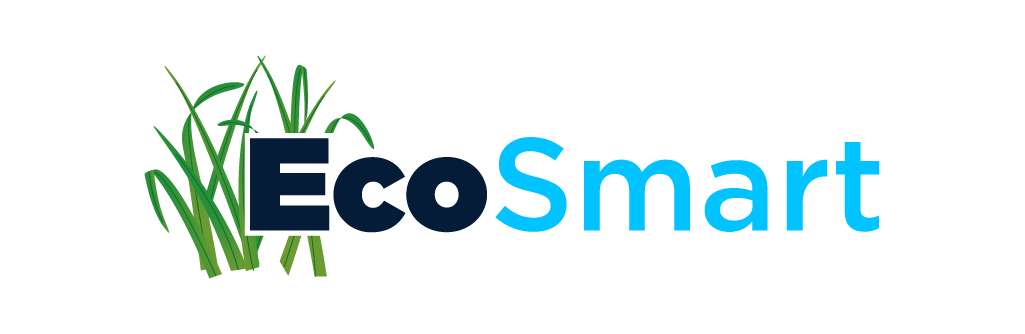 EcoSmart Logo