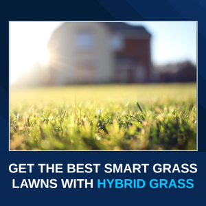Protected: Get the Best Smart Grass Lawns with Hybrid Grass
