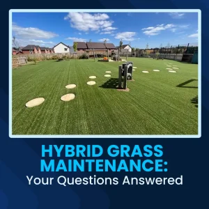 Hybrid Grass Maintenance: Common Questions Answered