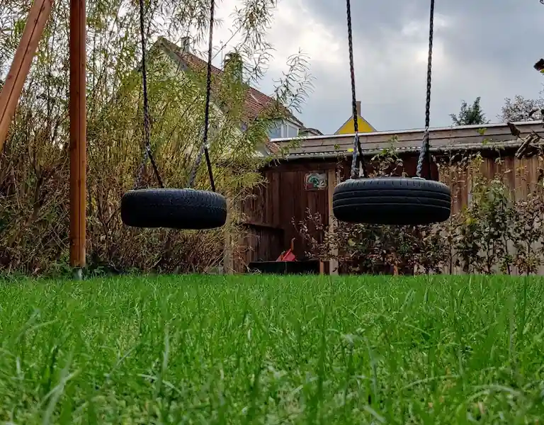 Hybrid grass natural growth under garden tyre swing
