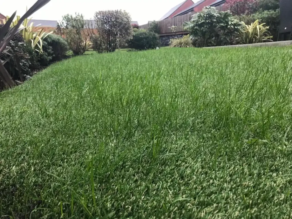 HybridSmart Grass with a natural blend of lengths