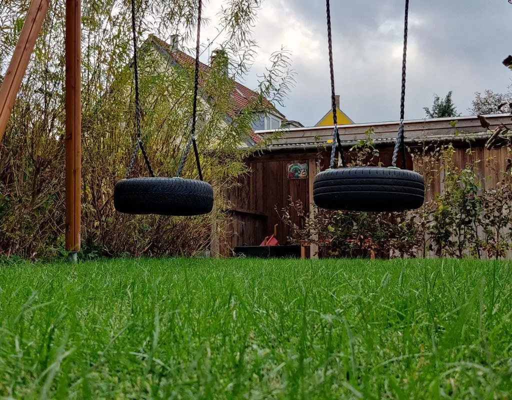 Hybrid grass lawn underneath swing set