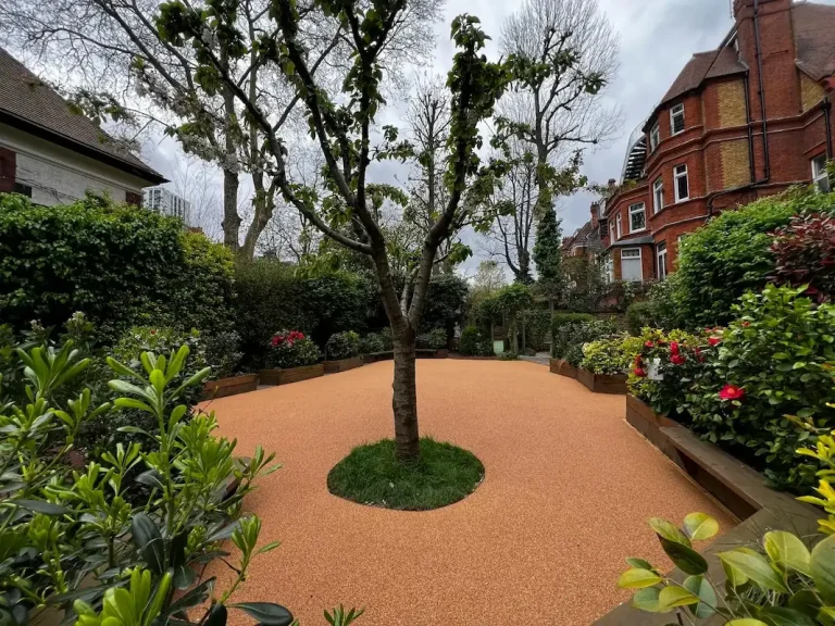 Corkeen in an open garden with a tree planted centrally surrounded by benches and planters