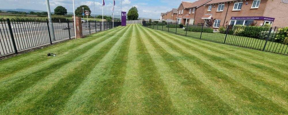 Stripy artificial grass for housing development