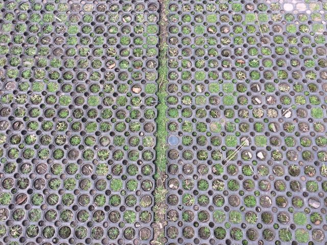 Poorly installed grass mats coming apart