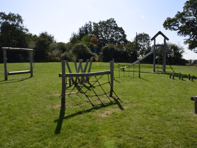 Grass growth through shock pad and grass matting