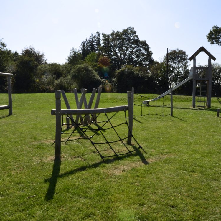 Grass growth through shock pad and grass matting