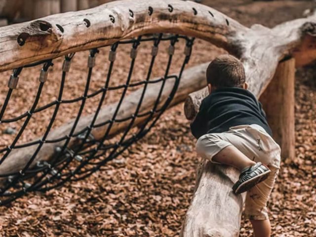 Children playing on wooden structure