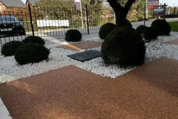 landscaped garden with olive tree, topiary and resin bound paving