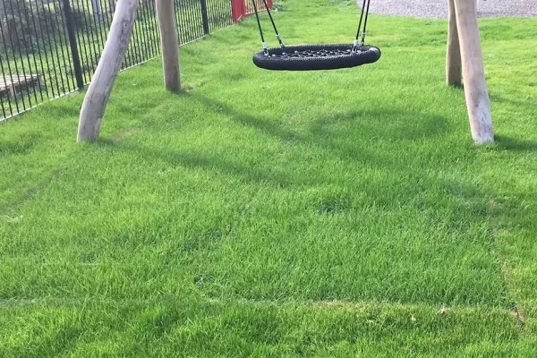 Grass mat under wooden playground equipment with grass grown through