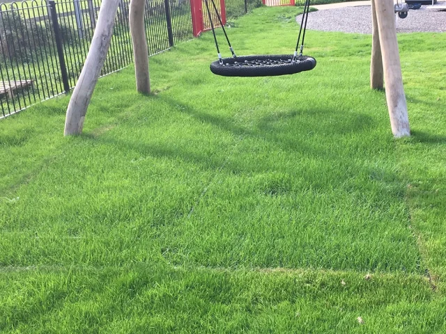 Grass mat under wooden playground equipment with grass grown through