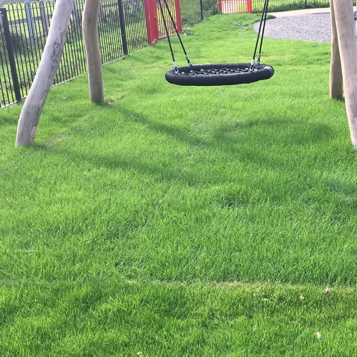 Grass mat under wooden playground equipment with grass grown through