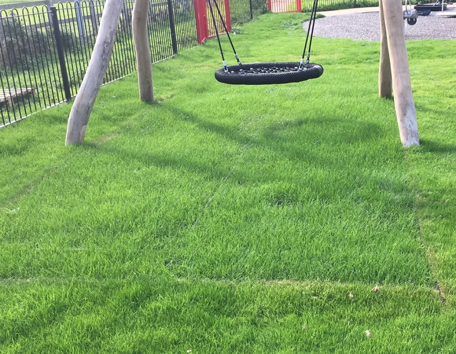 Grass mat under wooden playground equipment with grass grown through