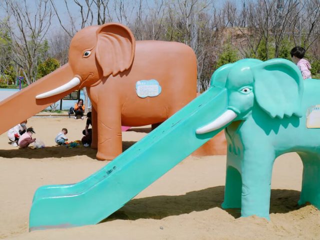 Elephant Slide