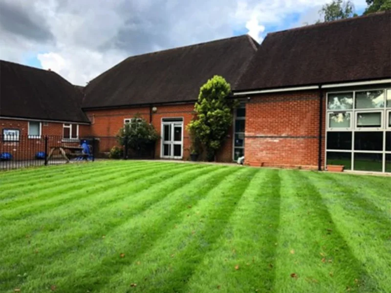 A fully grown HybridSmart Lawn used installed in Crookham