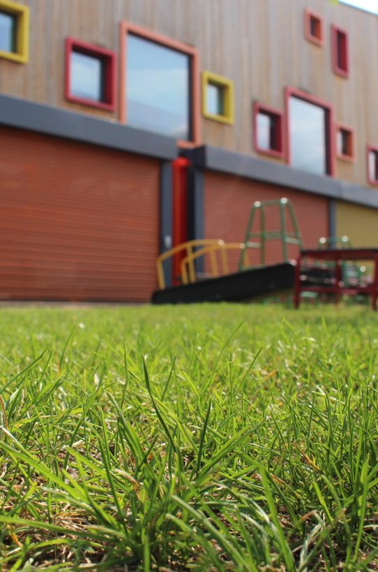 Hyrbid grass lawn in school