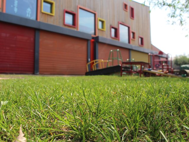 Hyrbid grass lawn in school
