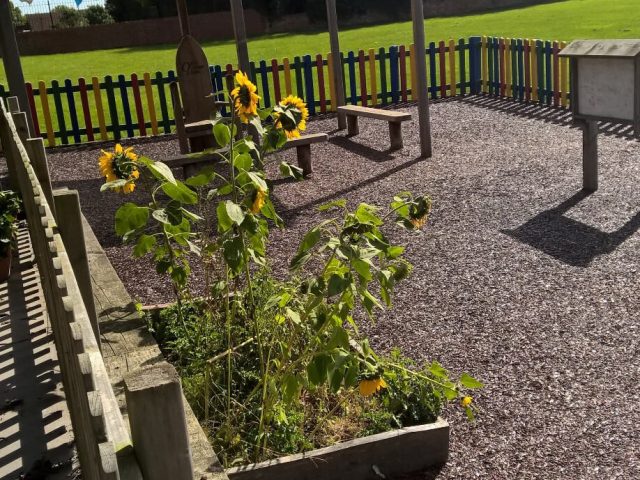 Red Rubber Mulch Playground using JungleMulch