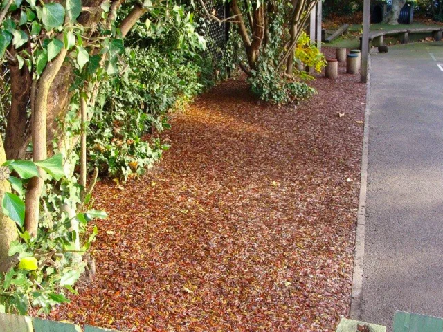 Brown and red JungleMulch Rubber mulch underneath tree and vegetation growth at the side of a pathway