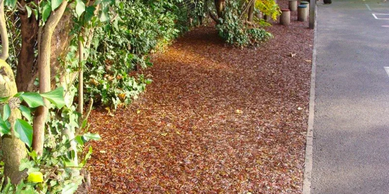 Brown and red JungleMulch Rubber mulch underneath tree and vegetation growth at the side of a pathway