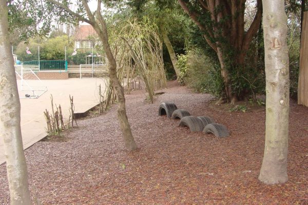 Red Jungle Mulch rubber mulch flooring installed around tree trunks next to a pathway
