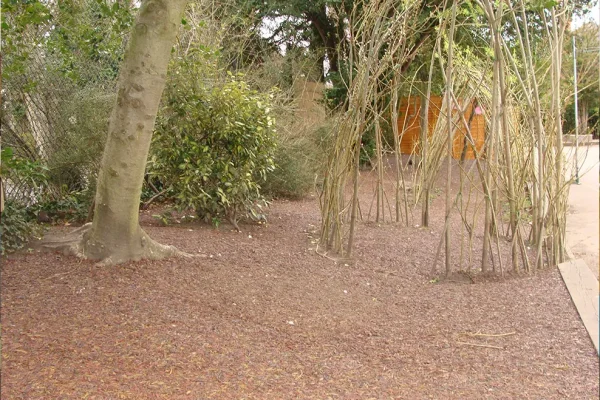Red Jungle Mulch rubber mulch flooring installed around tree trunks next to a pathway