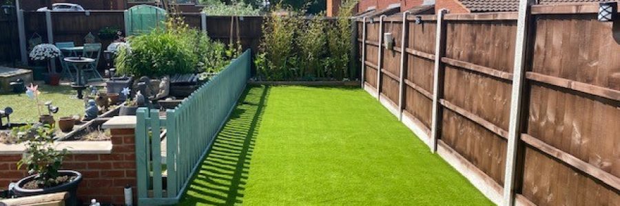 Lush Lawn
