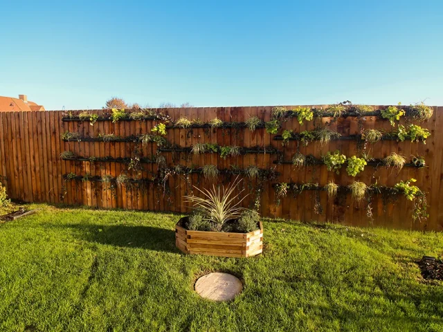 Landscaping