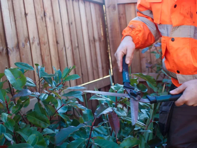 Landscaping