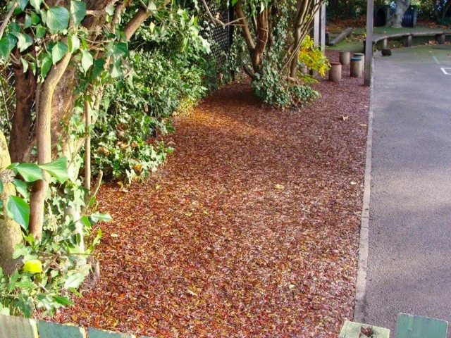 JungleMulch