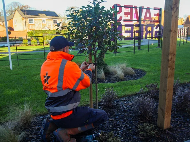 Landscaping