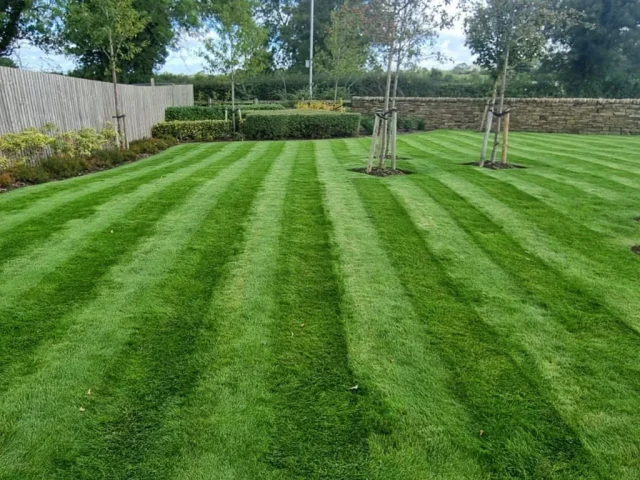 Landscaping