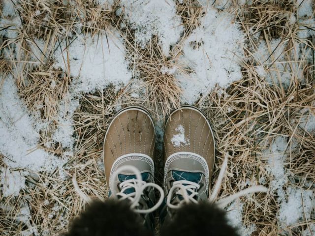 Damaged grass under snow